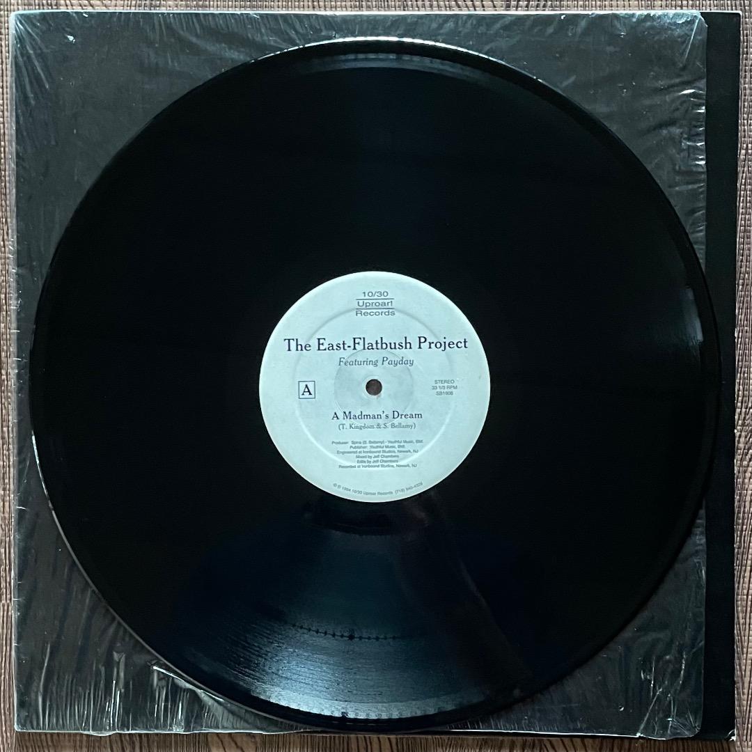 East-Flatbush Project– A Madman's Dream