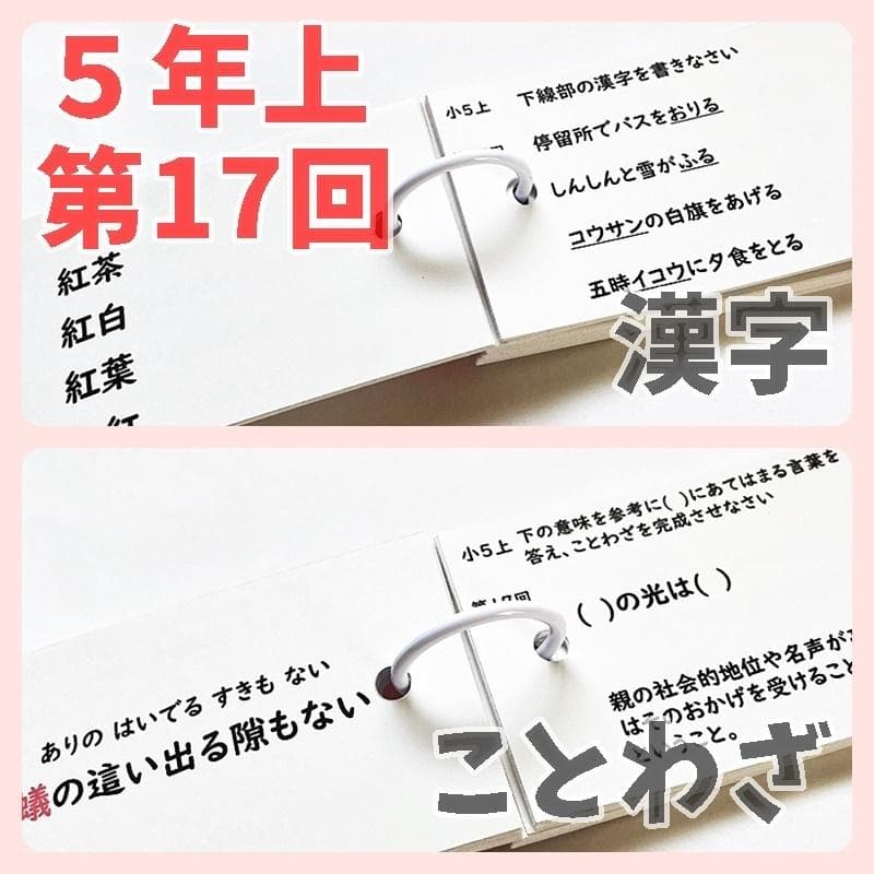 予習シリーズ5年上　漢字とことば　第1～19回　暗記カード　中学受験【5K3】