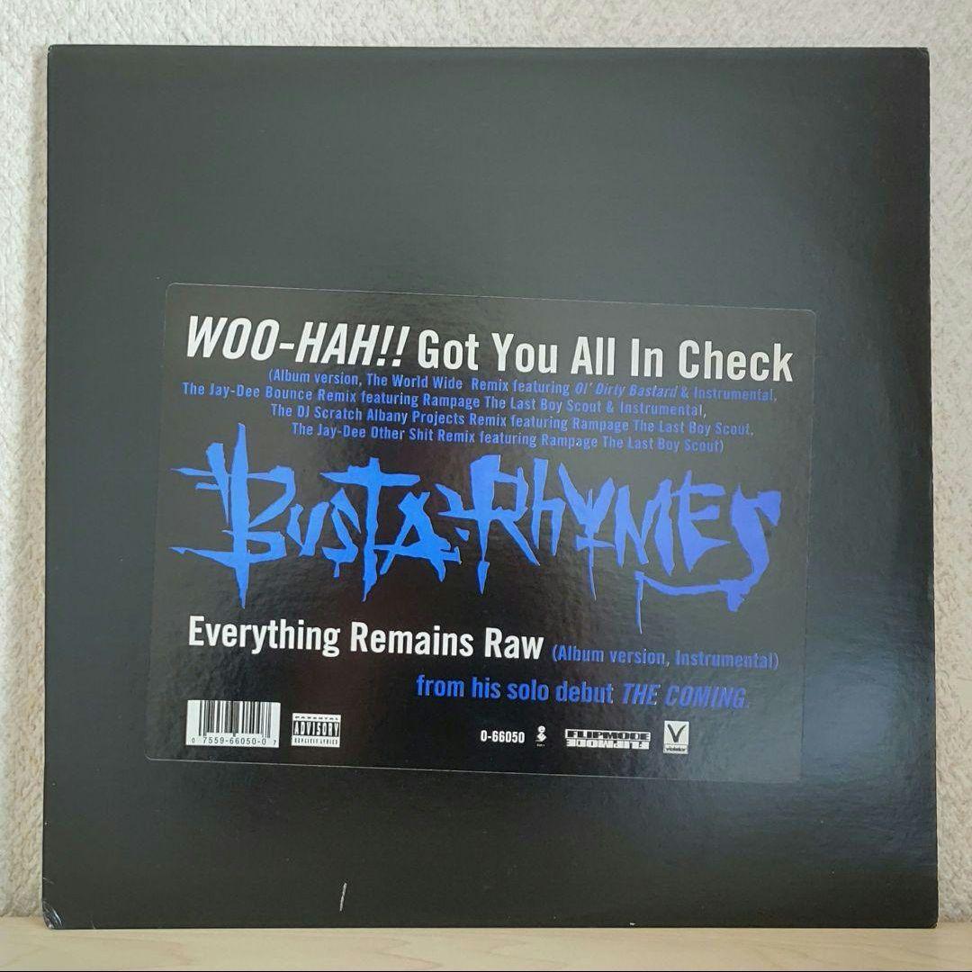 HIPHOP LP Busta Rhymes バスタ・ライムス　まとめ売り　8枚
