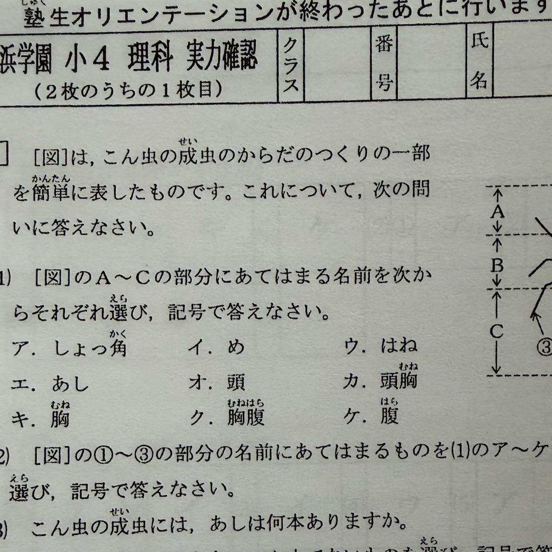 小4 即発送　復習テスト　4科目　Vクラス　浜学園　国語　算数　理科　社会