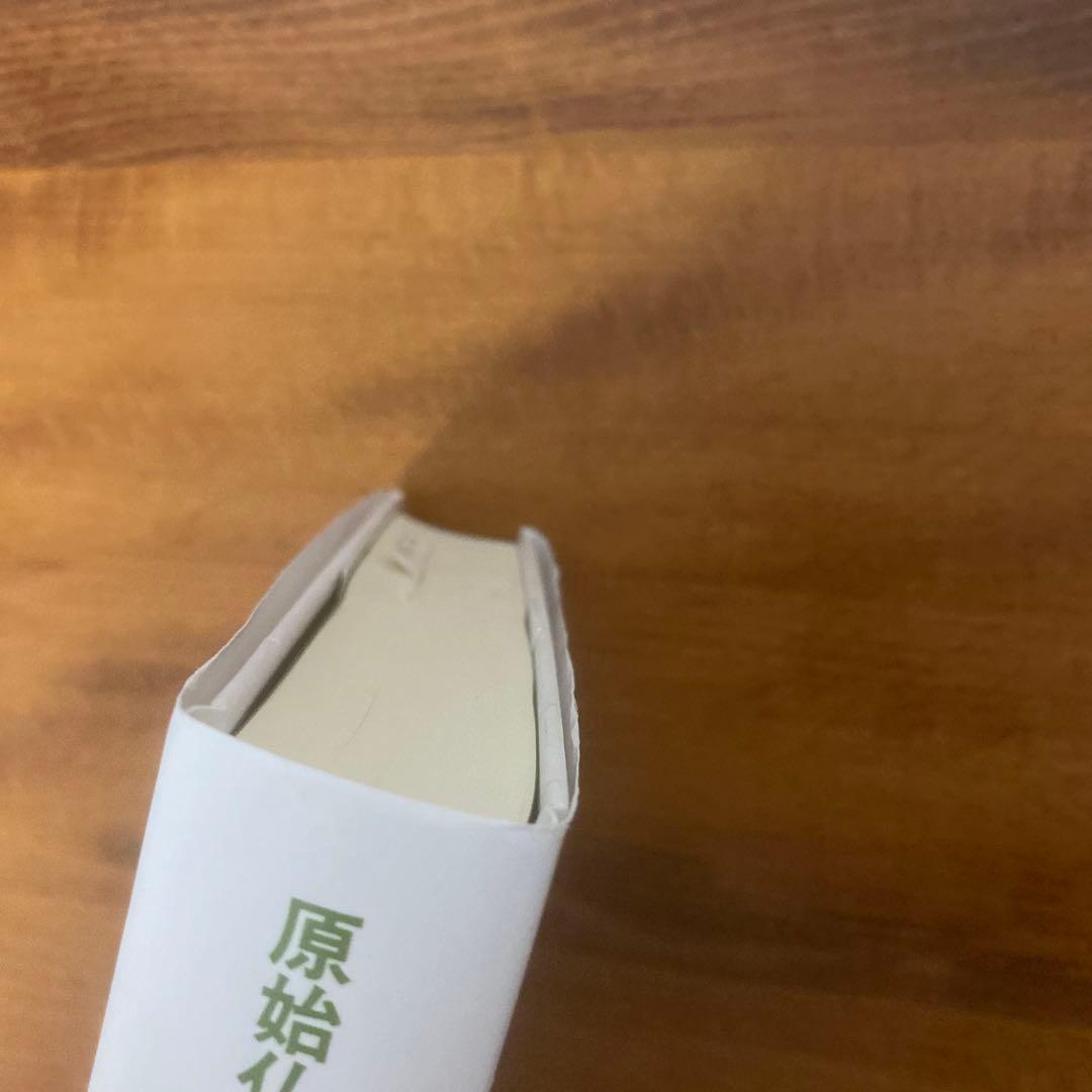 原始仏典Ⅳ 小部経典 第二巻