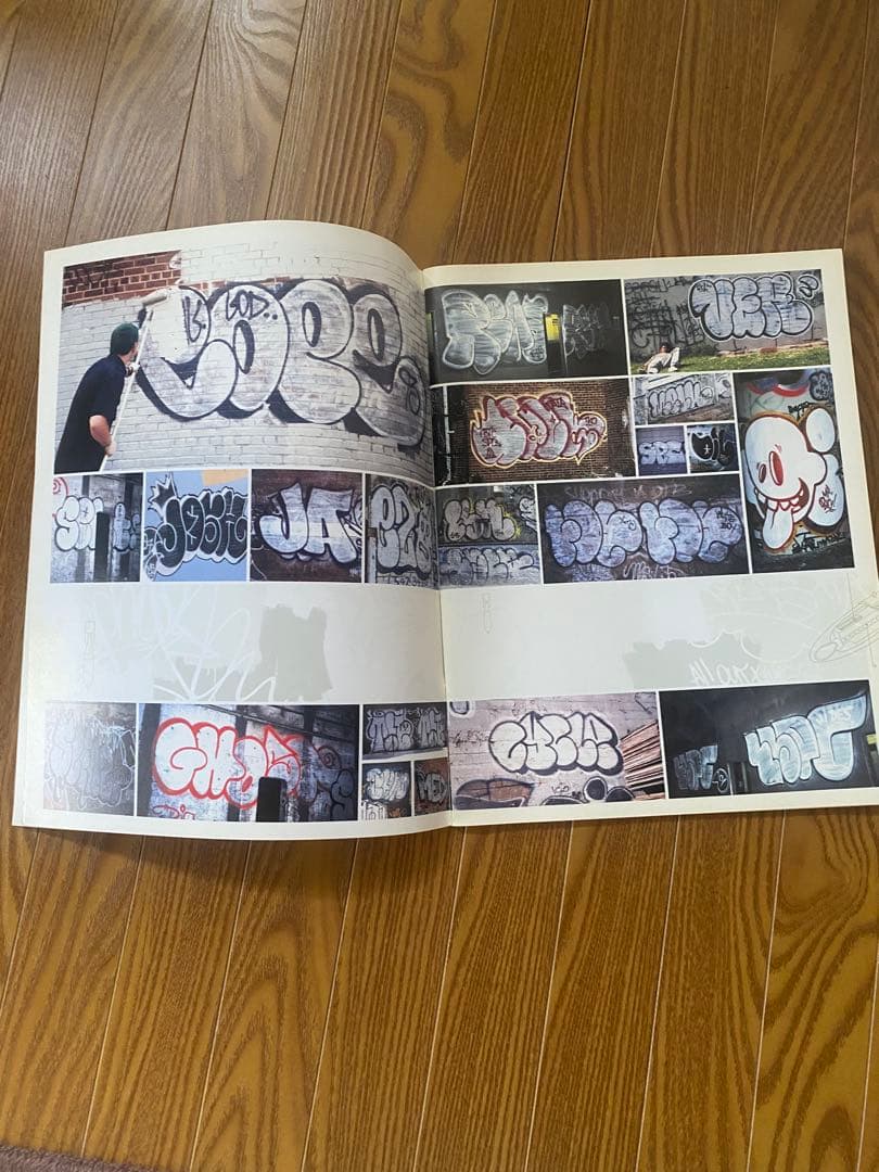 The Vandalizer 写真集　graffiti art NY 2000年