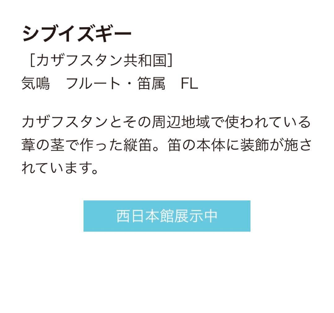 【希少】 シブイズギー 民族楽器 フルート カザフスタン共和国 笛属 縦笛