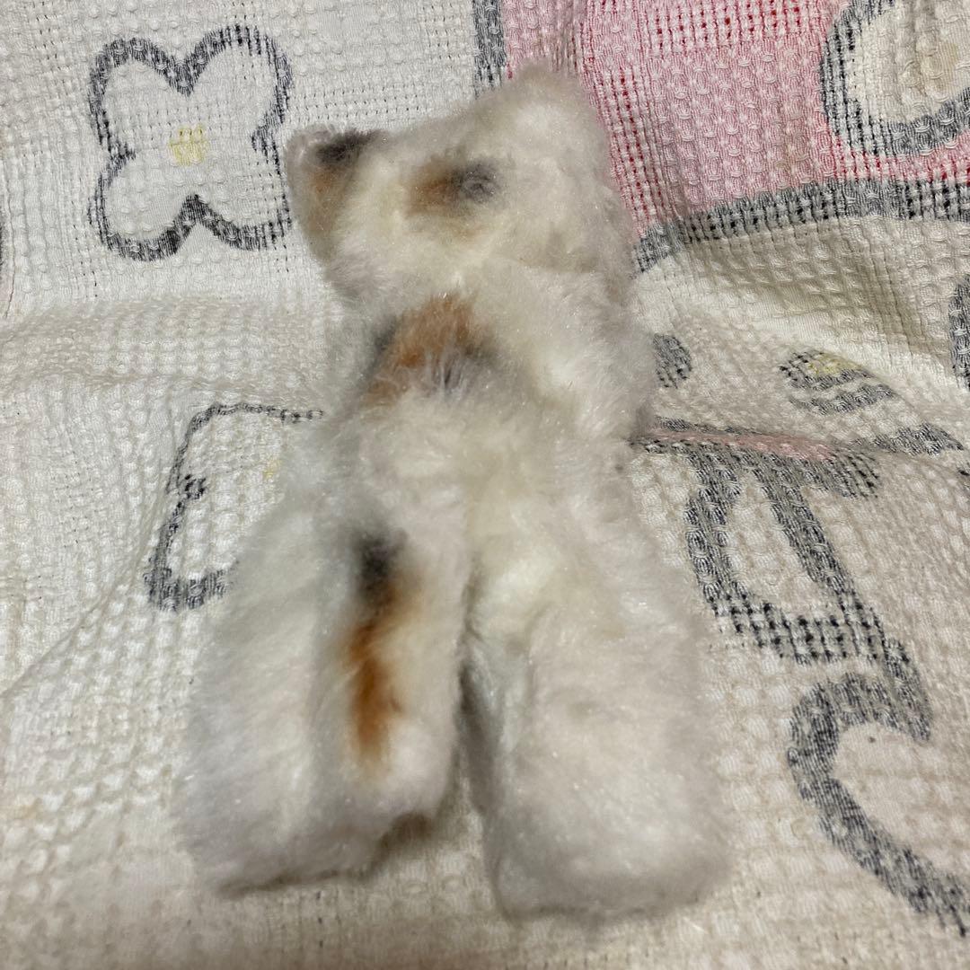 昭和レトロ　ヴィンテージ Meiji 明治　ノベルティ　猫　ぬいぐるみ　2こ