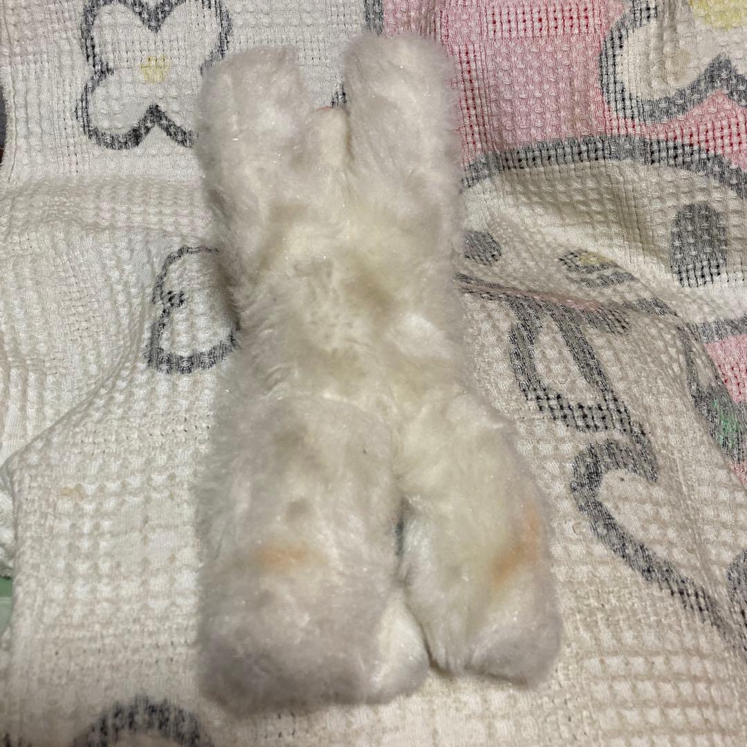 昭和レトロ　ヴィンテージ Meiji 明治　ノベルティ　猫　ぬいぐるみ　2こ