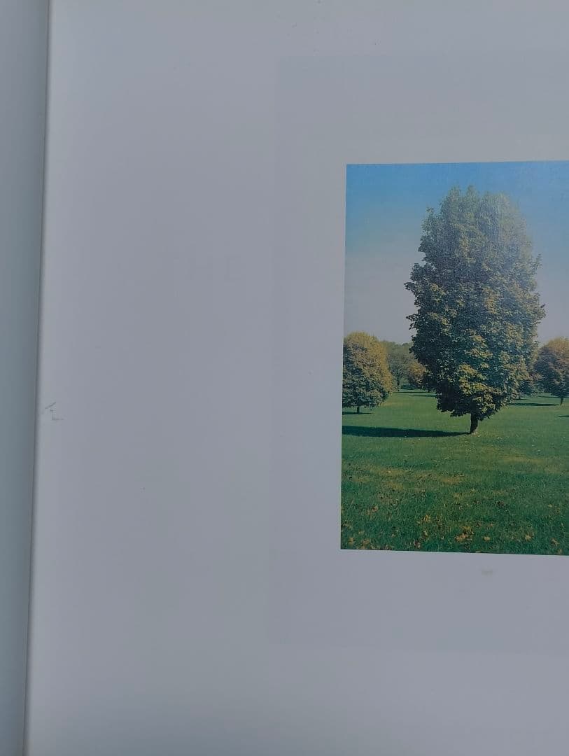 アート・デザイン・音楽 william eggleston the democratic forest