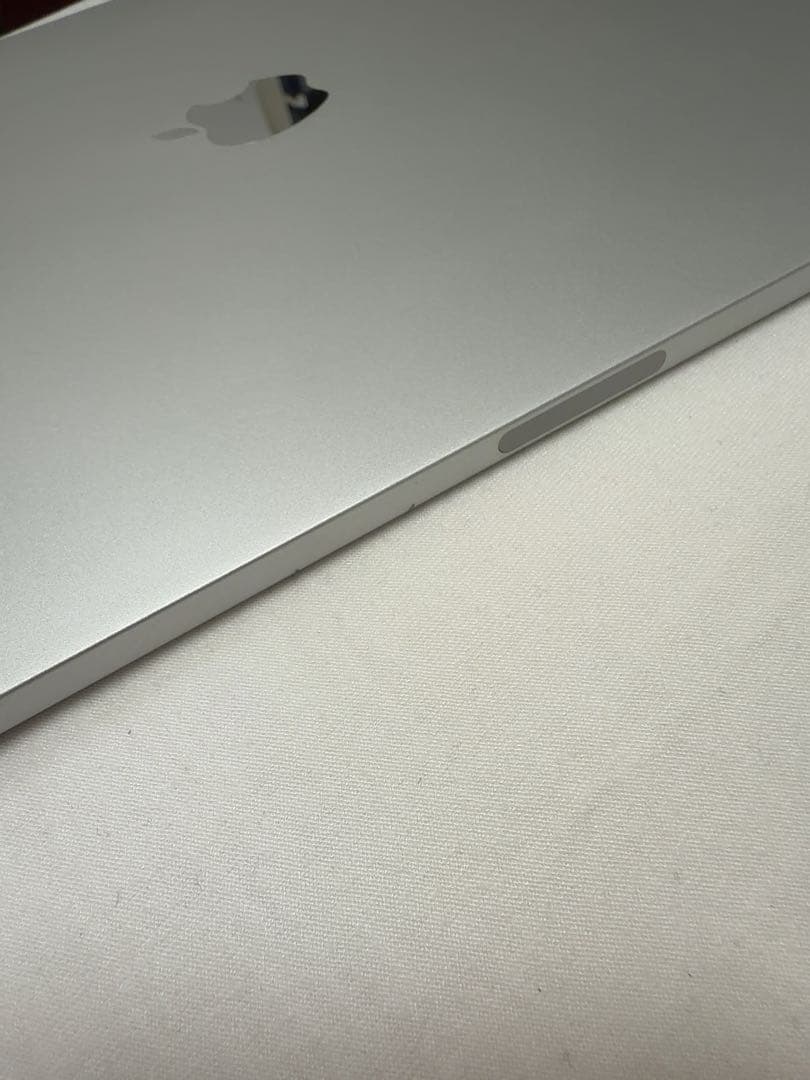 iPad Pro 12.9 第3世代 256GB シルバー 美品 MK付