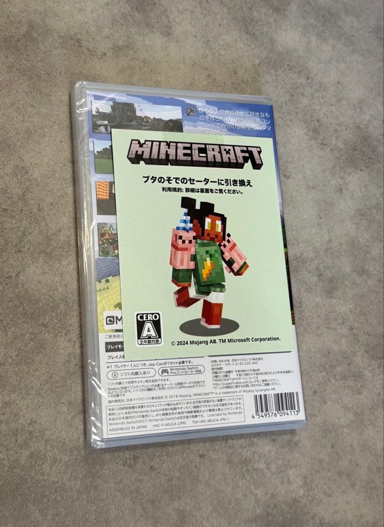 Nintendo Switch マリオカート8 デラックス マインクラフト