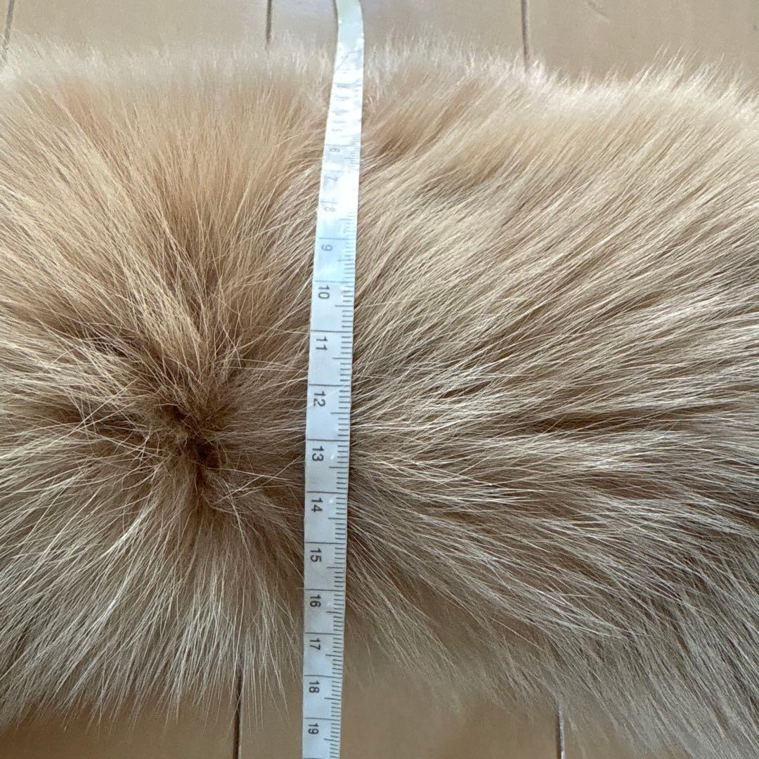 【しば犬母】サガフォックス　サガファー