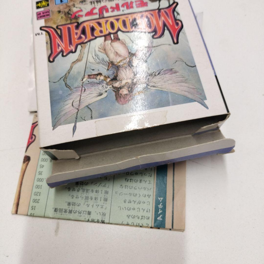 動作確認済 GAMEGEAR モルドリアン 光と闇の姉妹 MOLDORIAN