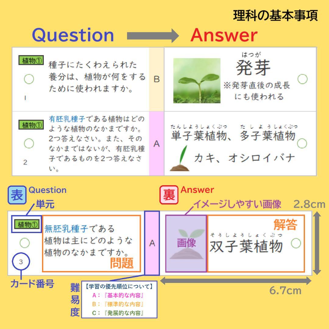 ☆大特価☆カット済 【中学受験】理科の基本事項 5・6年暗記カード フルセットb