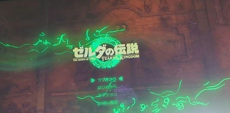 ゼルダの伝説　ブレスオブザワイルド ディアーズオブキングダム　セット