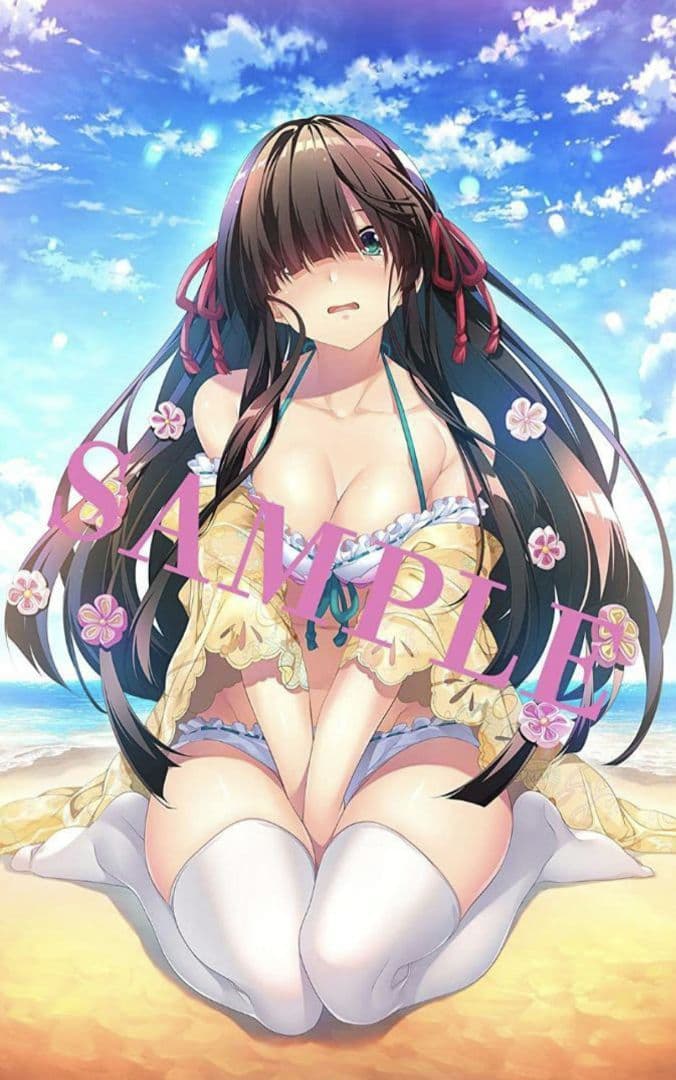 新品・未開封　戦国恋姫~乙女絢爛☆戦国絵巻~ 豪華絢爛出陣セット Switch