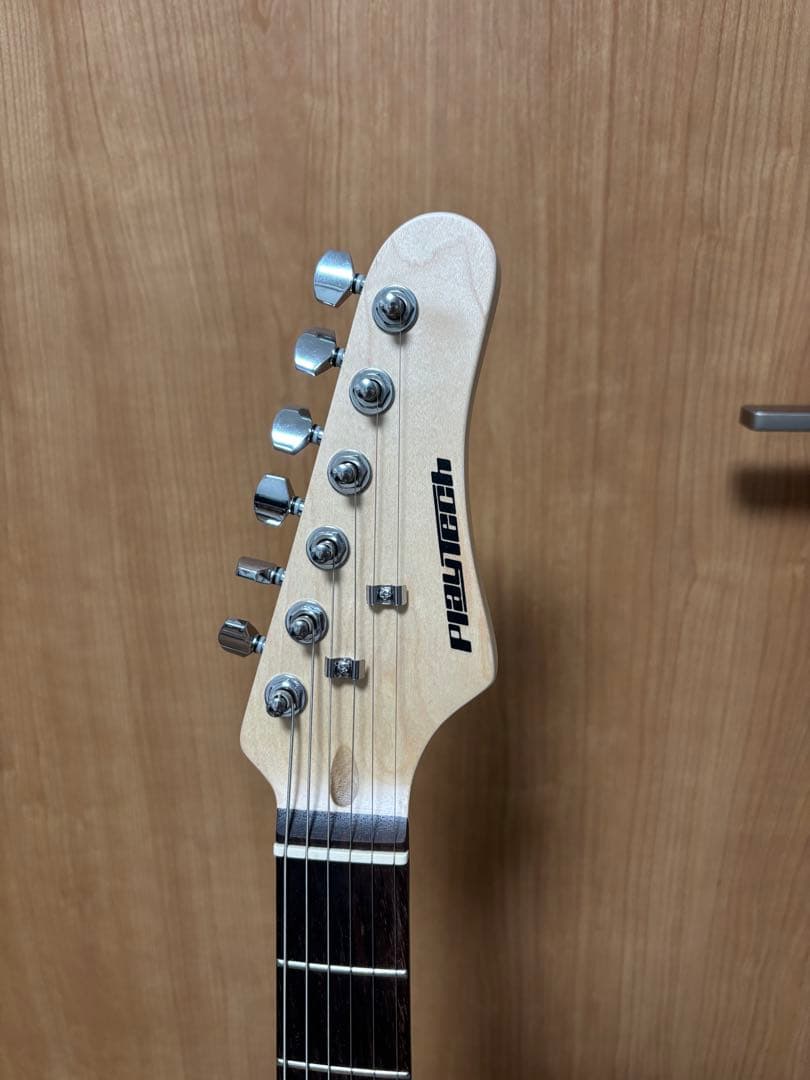 プレイテック　テレキャスター　TL250 Rose Black