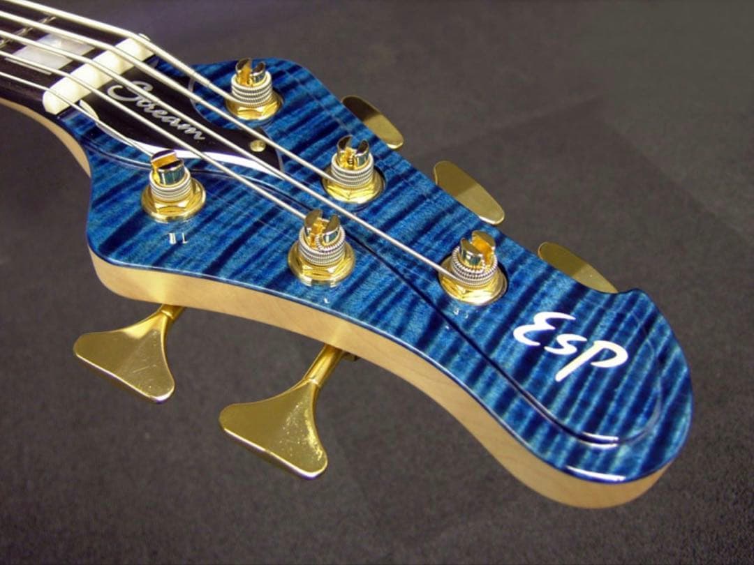 【タイムセール中‼️】ESP STREAM-CTM-SL5 Marine Blue