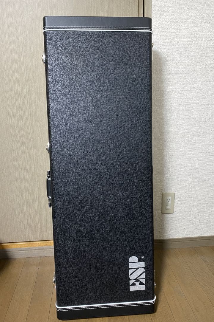 【値下げ中】E-II SN-2 + ハードケース