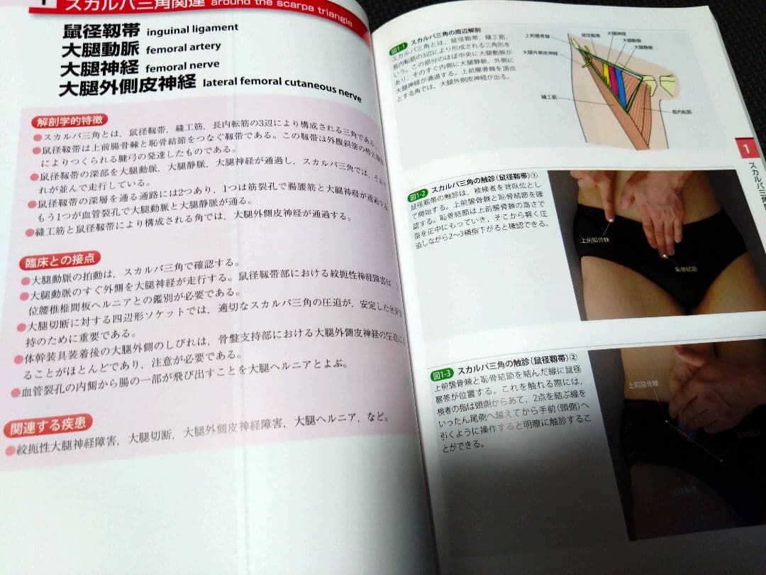 運動療法の為触診技術上肢下肢2冊送料無料　即購入可　即配送　匿名配送　理学療法