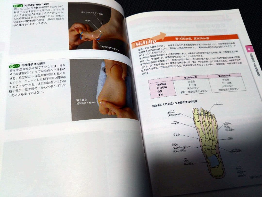 運動療法の為触診技術上肢下肢2冊送料無料　即購入可　即配送　匿名配送　理学療法