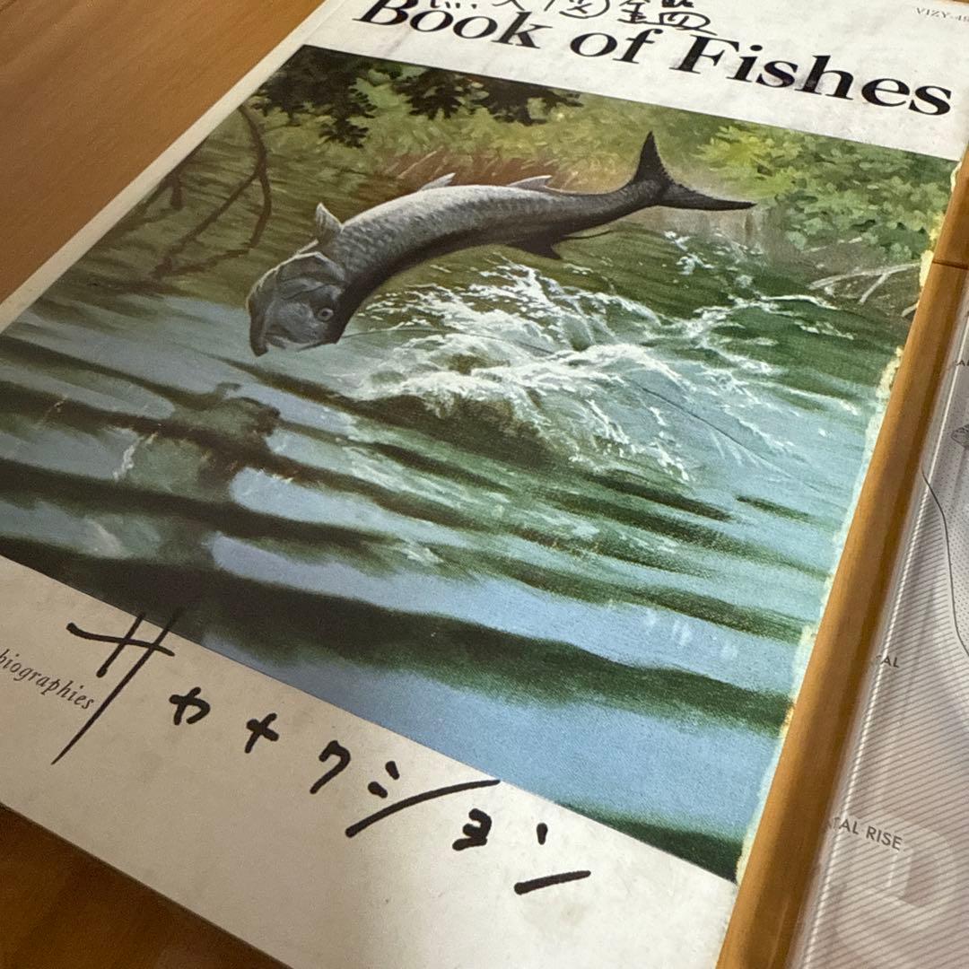 極美品　完全生産限定盤プレミアムBOX魚大図鑑 Book of Fishes