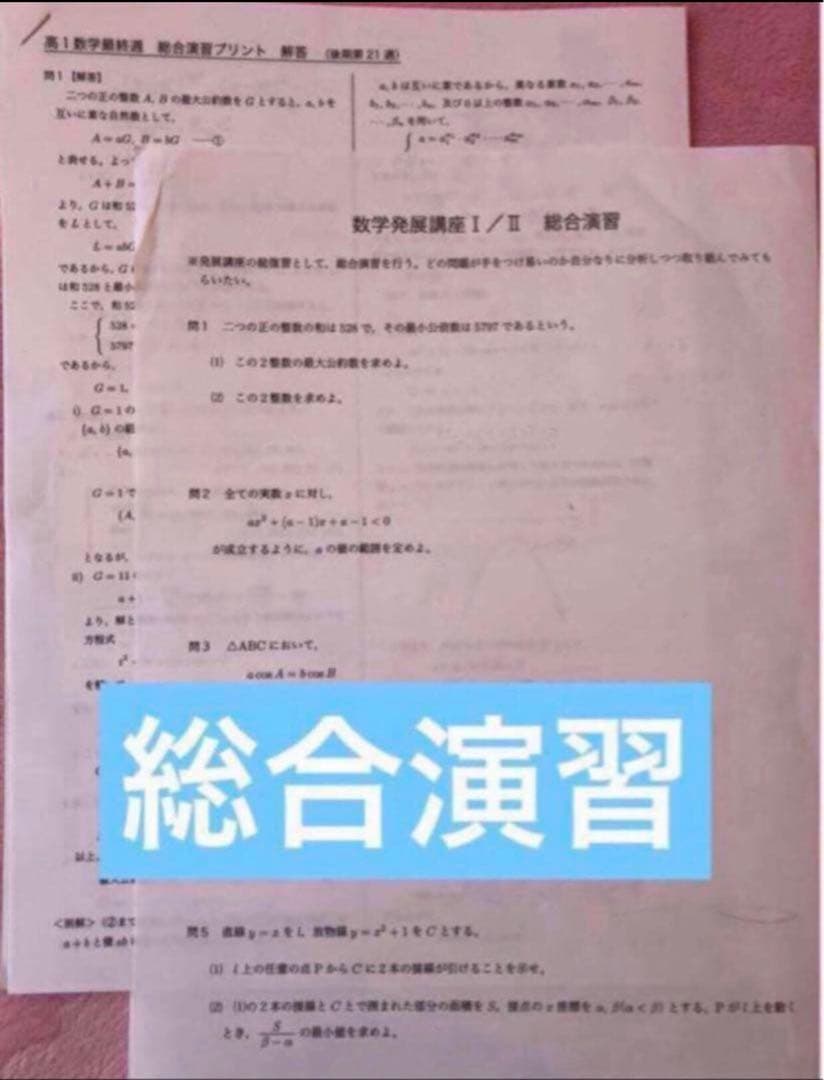 【フルセット独学可】鉄緑会 高1 数学 発展講座I/II ノート　プリント　講習