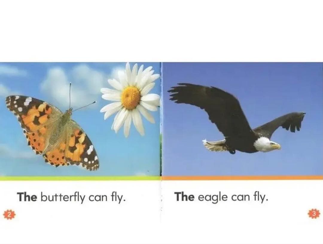 Nonfiction sight readers マイヤペン対応 英語絵本 多読