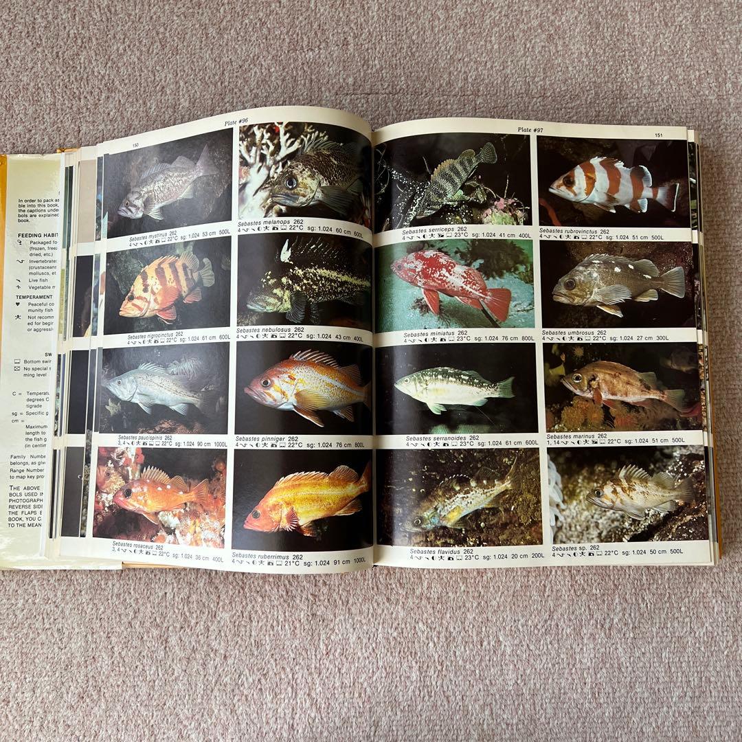 洋書　Dr. Burgess's Atlas of 海水魚　大型本