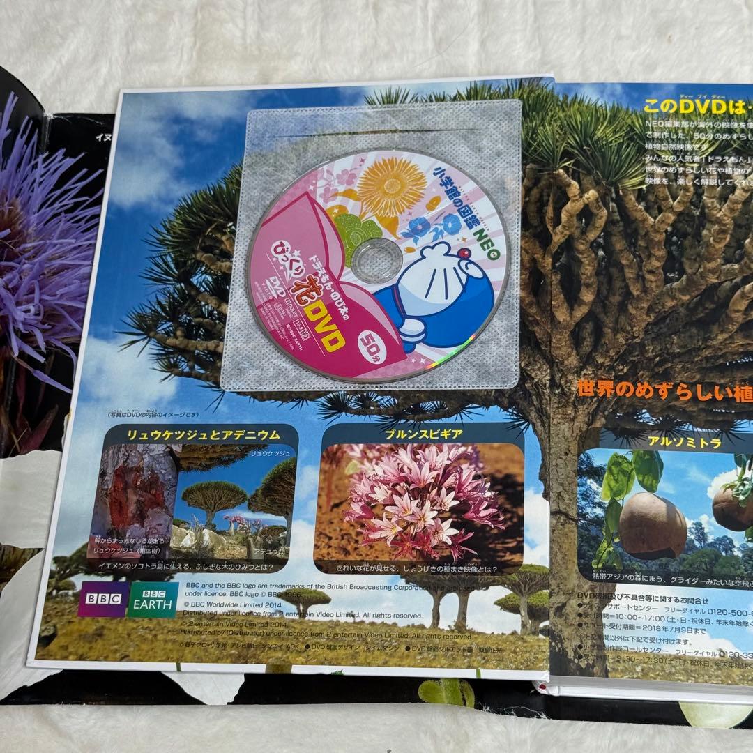 【良品・カバーあり】小学館の図鑑NEO 全巻20冊セット