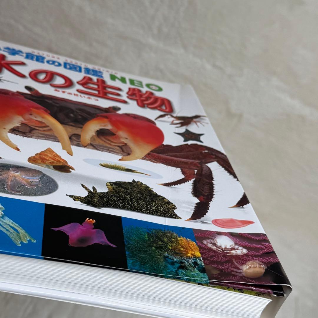【良品・カバーあり】小学館の図鑑NEO 全巻20冊セット