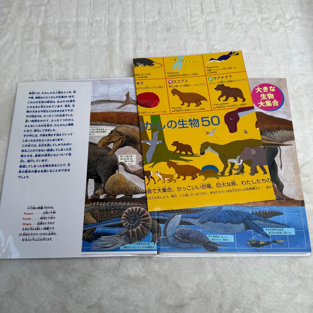 【良品・カバーあり】小学館の図鑑NEO 全巻20冊セット