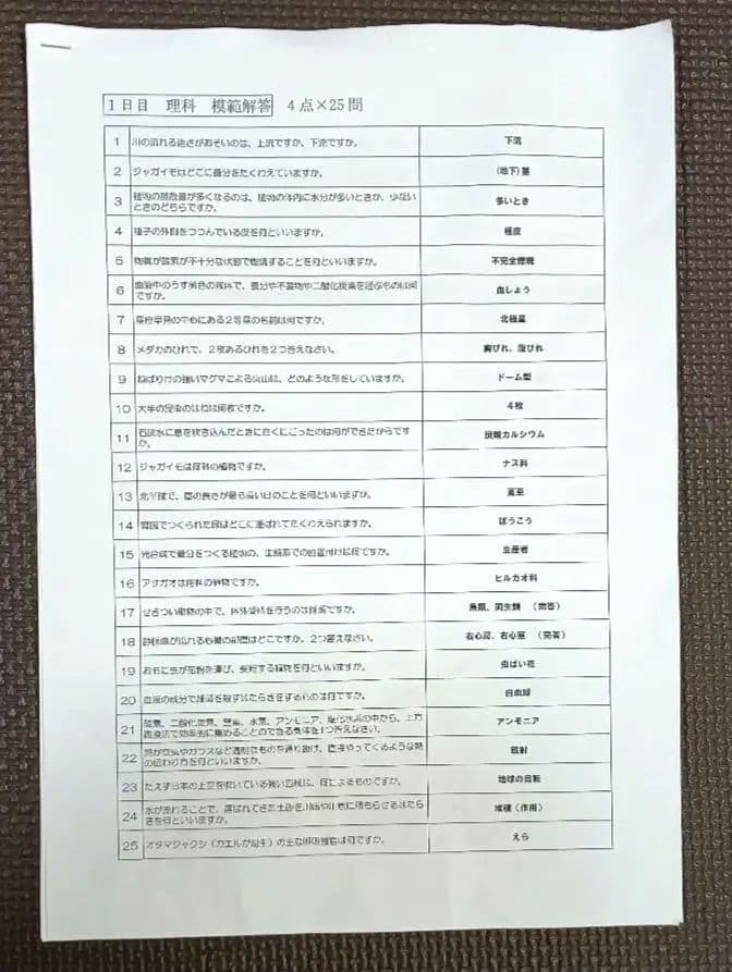 NN早実 夏期集中特訓 2024年 早稲田アカデミー 早稲田実業学校
