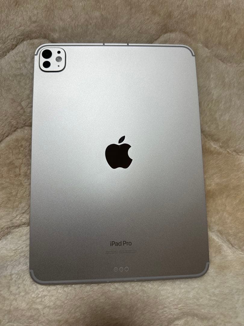 iPad Pro11インチ第5世代256G M4