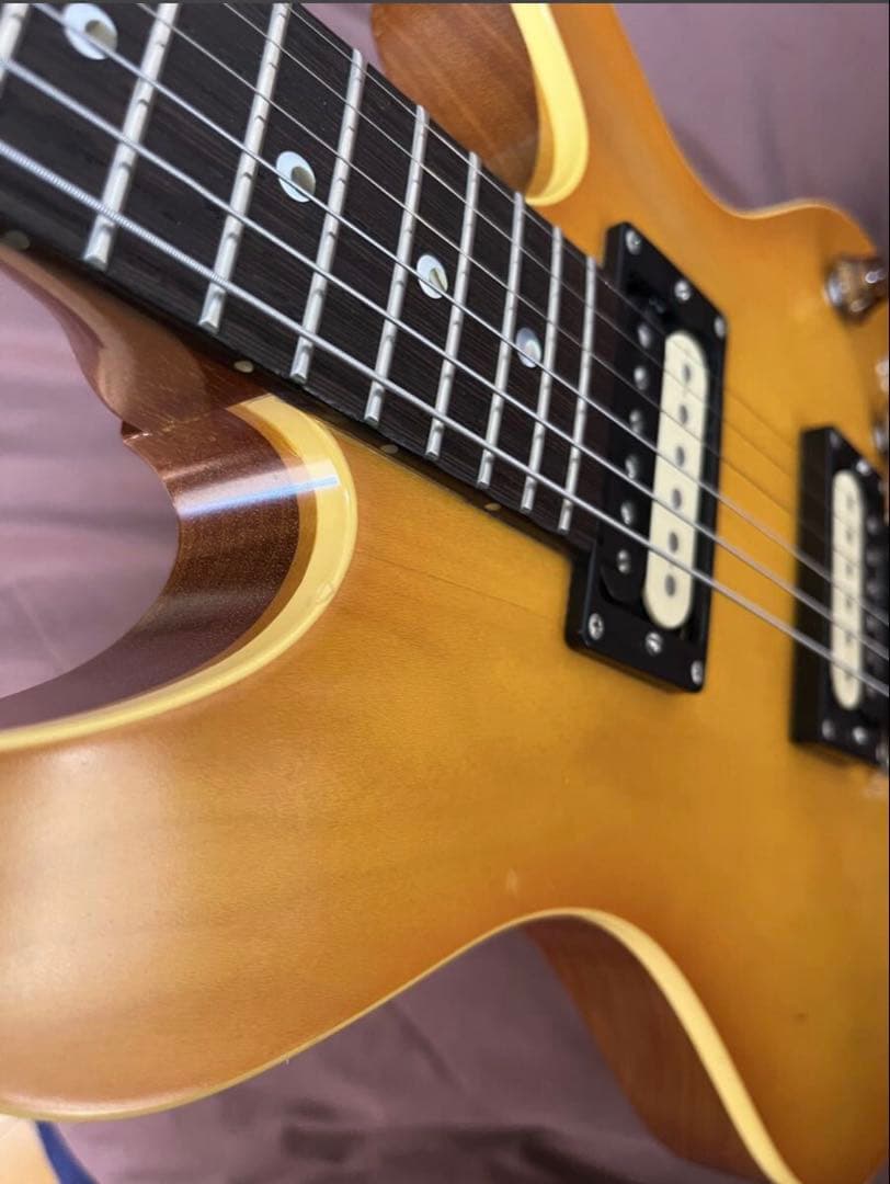 ESP Potbelly エレキギター　カスタム　注文時48万　ケース付　国産
