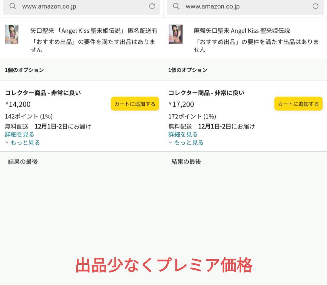 【DVD】矢口聖来/Angel Kiss 聖来姫伝説