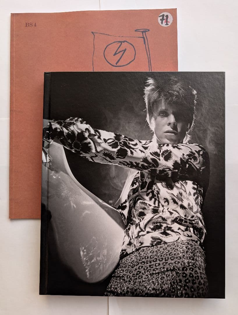 David Bowie Rock 'N' Roll Star 日本版