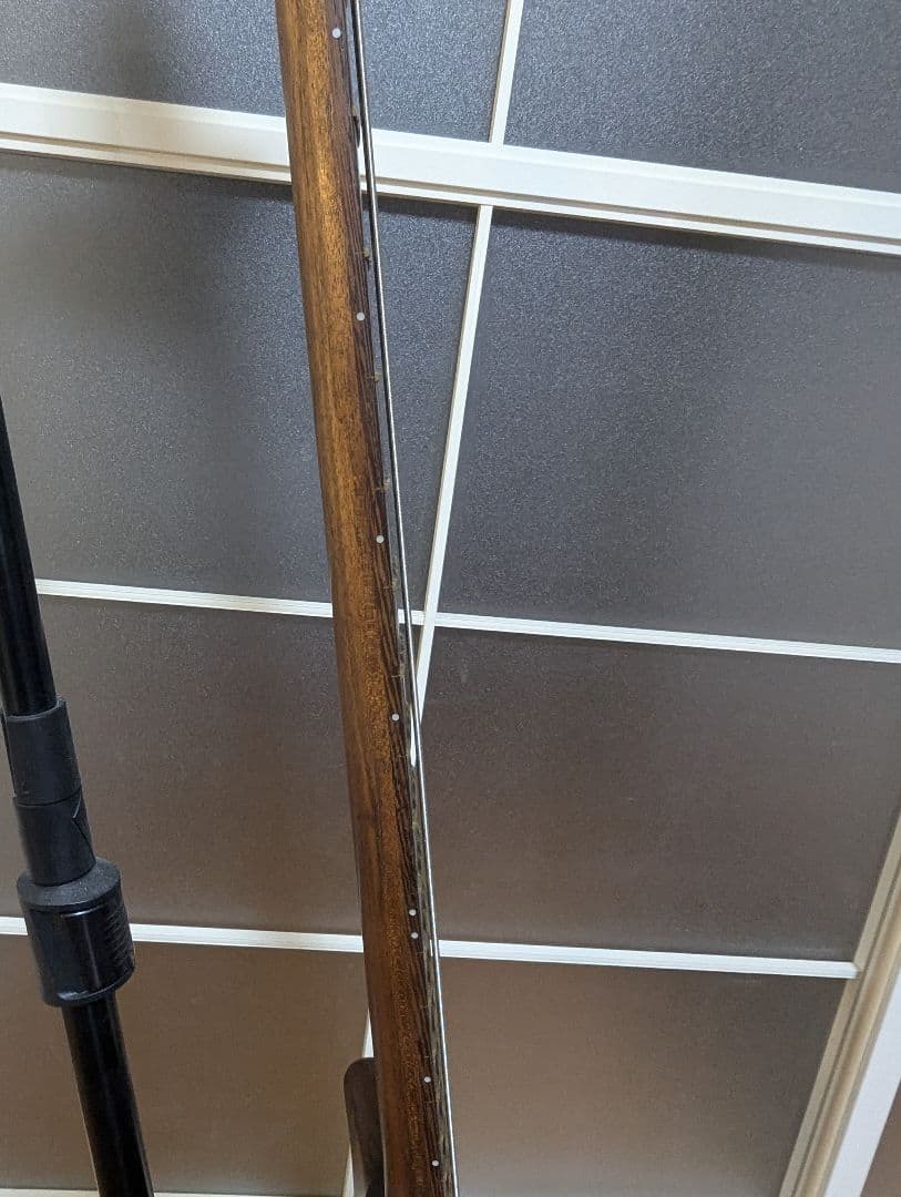 Warwick Thumb Bass BO ドイツ製