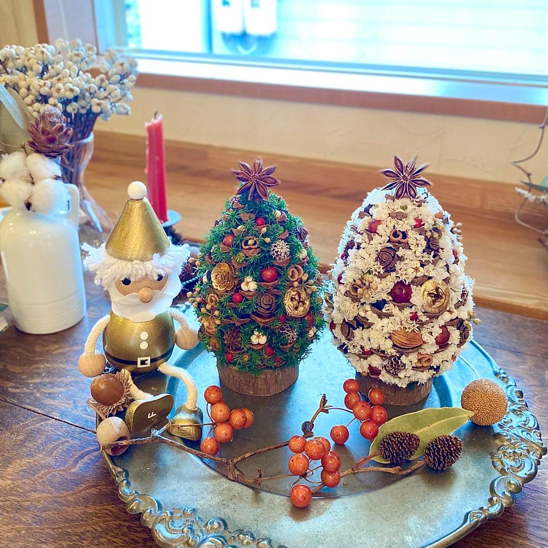 ⚠️専用品⚠️ 大王松 の 松ぼっくりツリー プリザーブド ドライフラワー ツリー