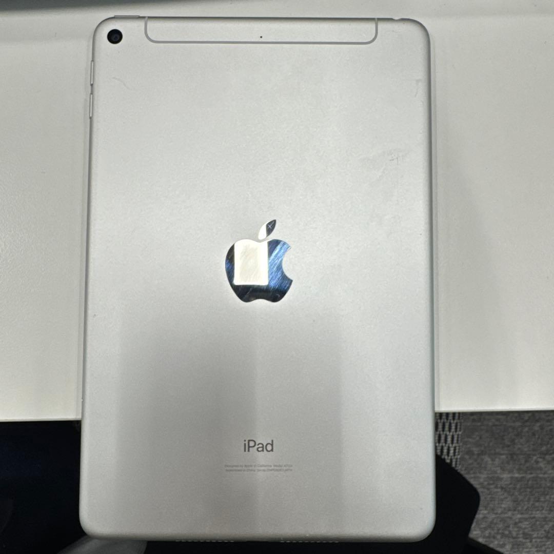 目立った傷や汚れなし｜iPad 第5世代 シルバー 容量256GB