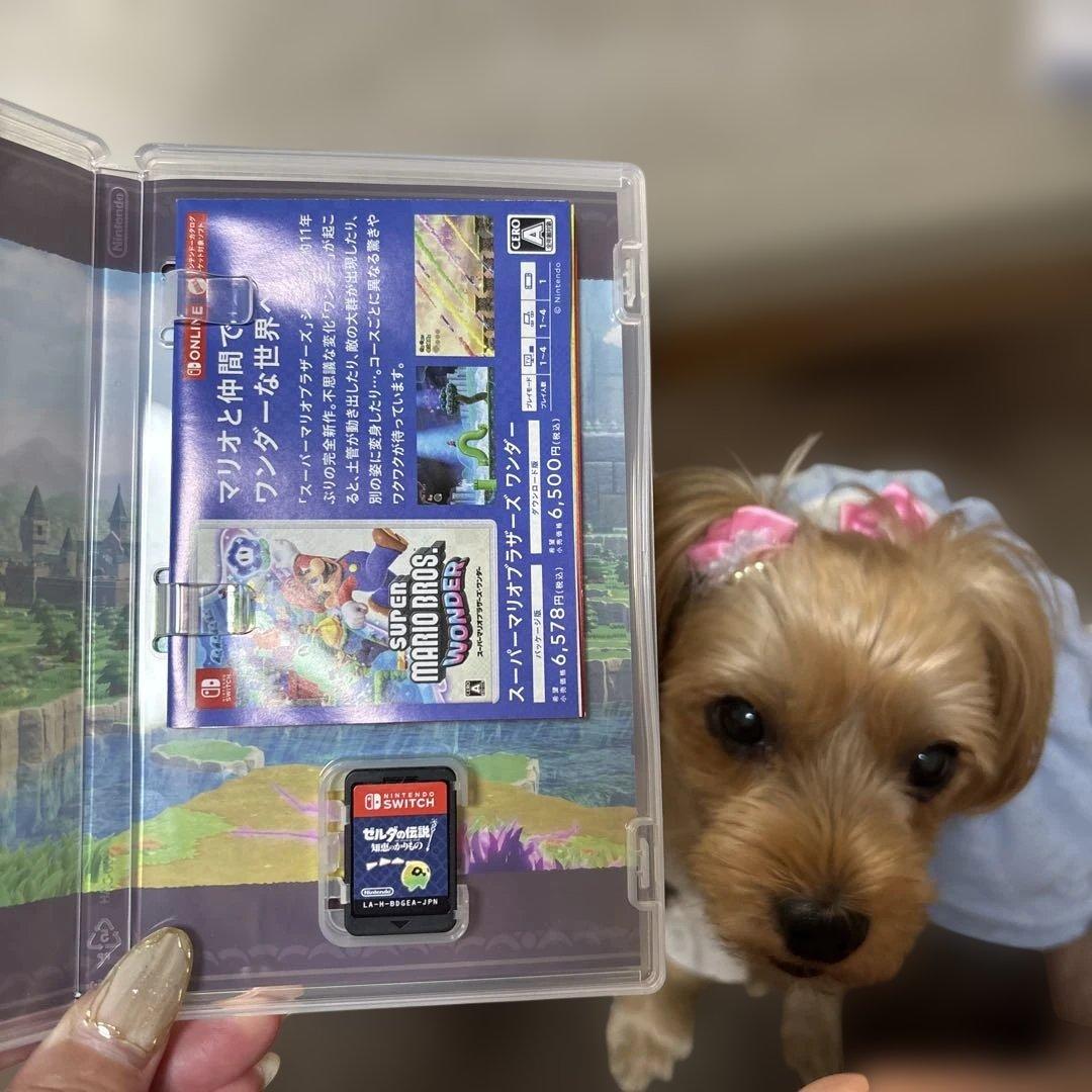 Switch ゼルダの伝説 知恵のかりもの 　　　　ゼルダの伝説　夢をみる島