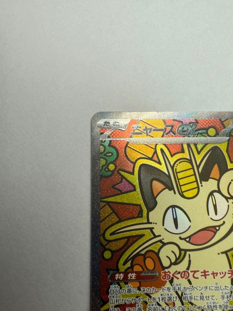ニャース　sar