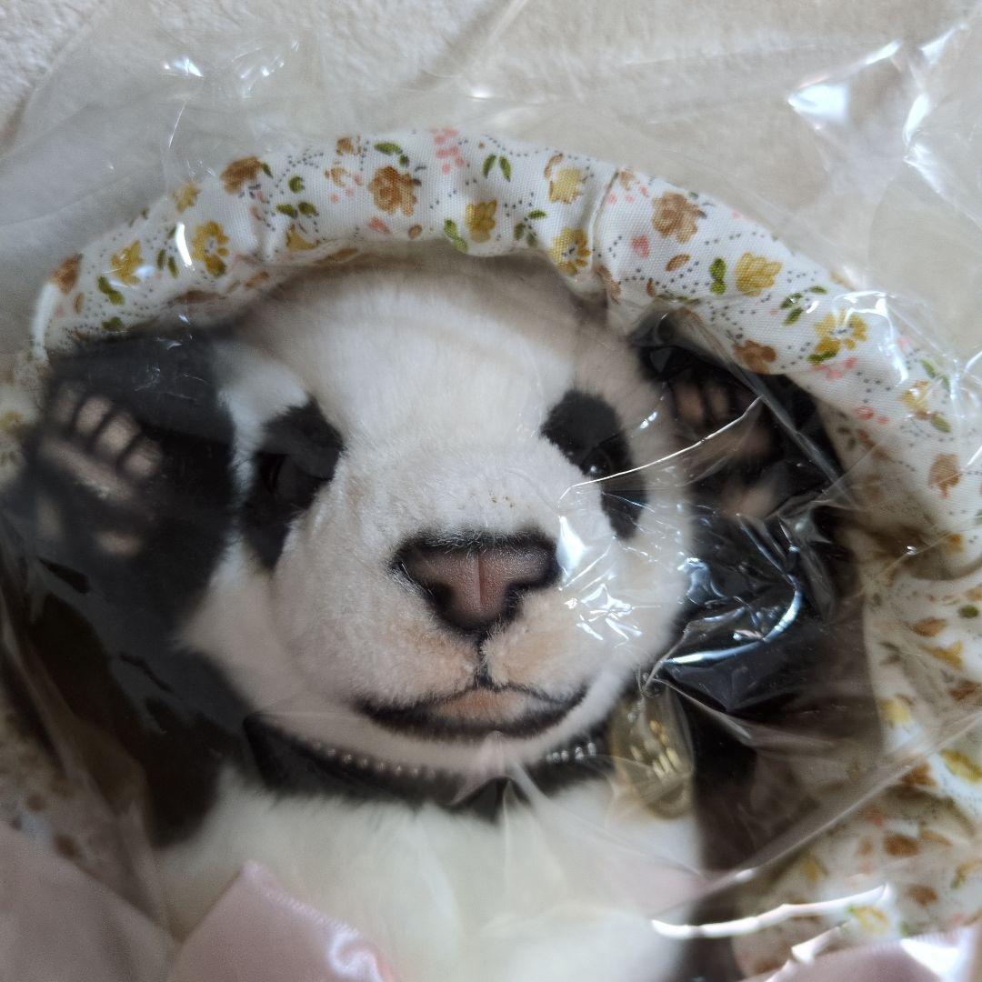 台北市立動物園　パンダ 　ユエンザイ　限定ぬいぐるみ 　未使用