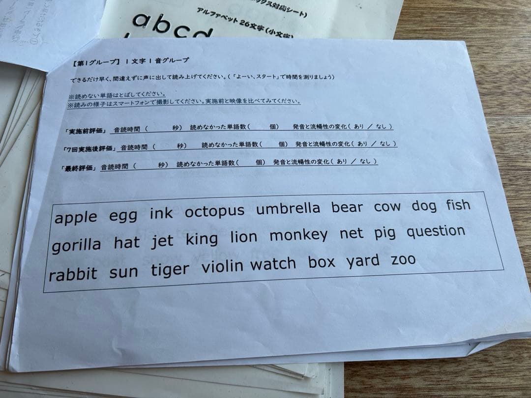 触るグリフ　英語綴り(フォニックス対応) 触読版シート