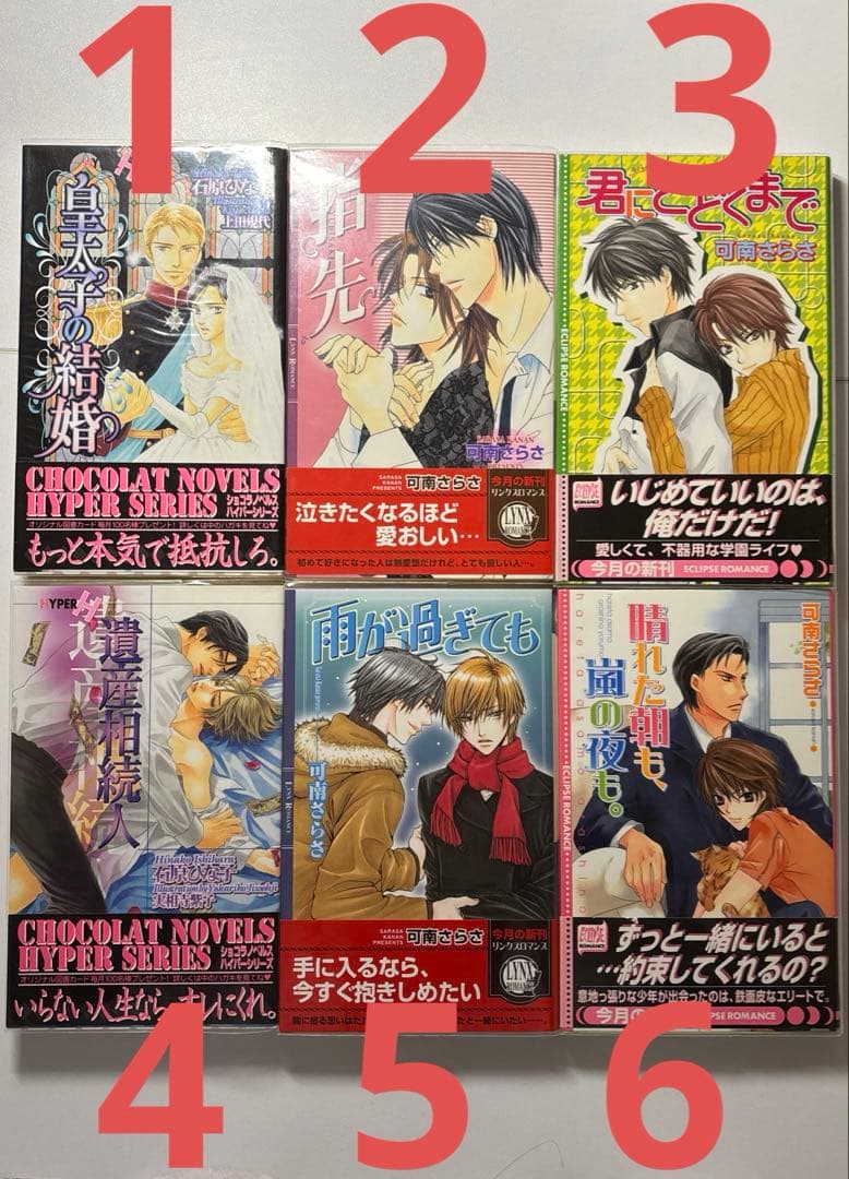 【BL小説】バラ売り ６冊迄　詳細は「商品説明」欄をご参照ください