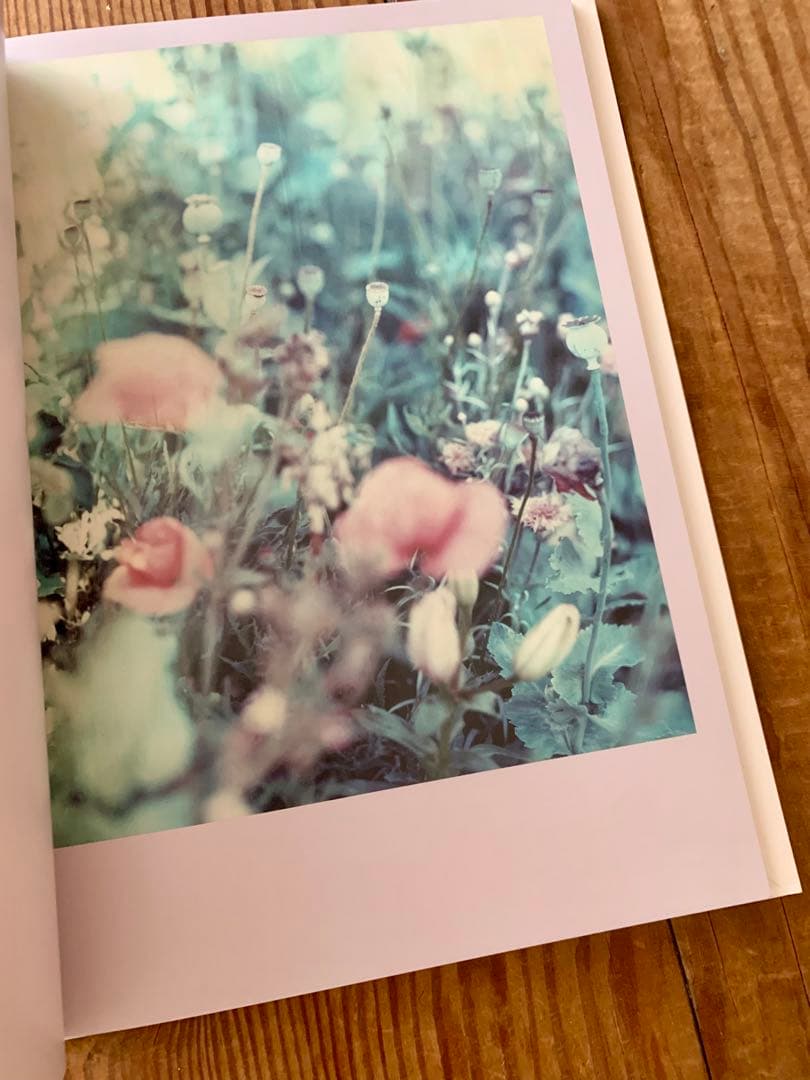 Darren Almond / The Civil Dawns 写真集