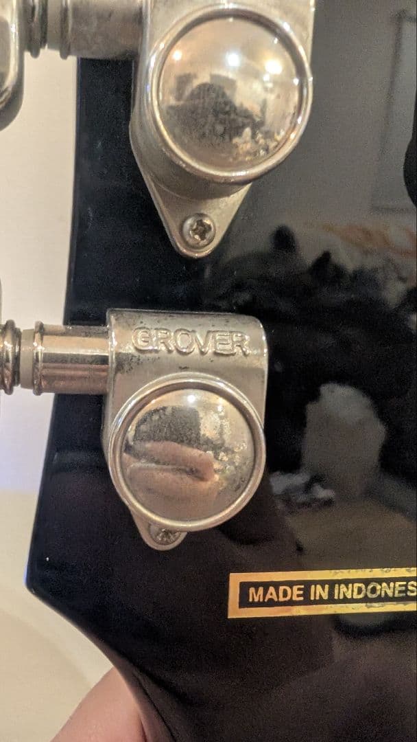 こ*け様 Epiphone レスポールLes Paul Standard Plu