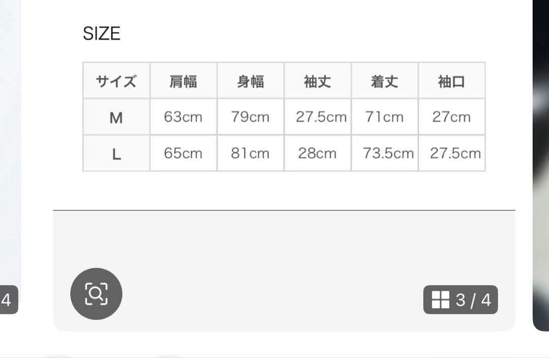 is-ness BALLOON T SHIRT ブラック L