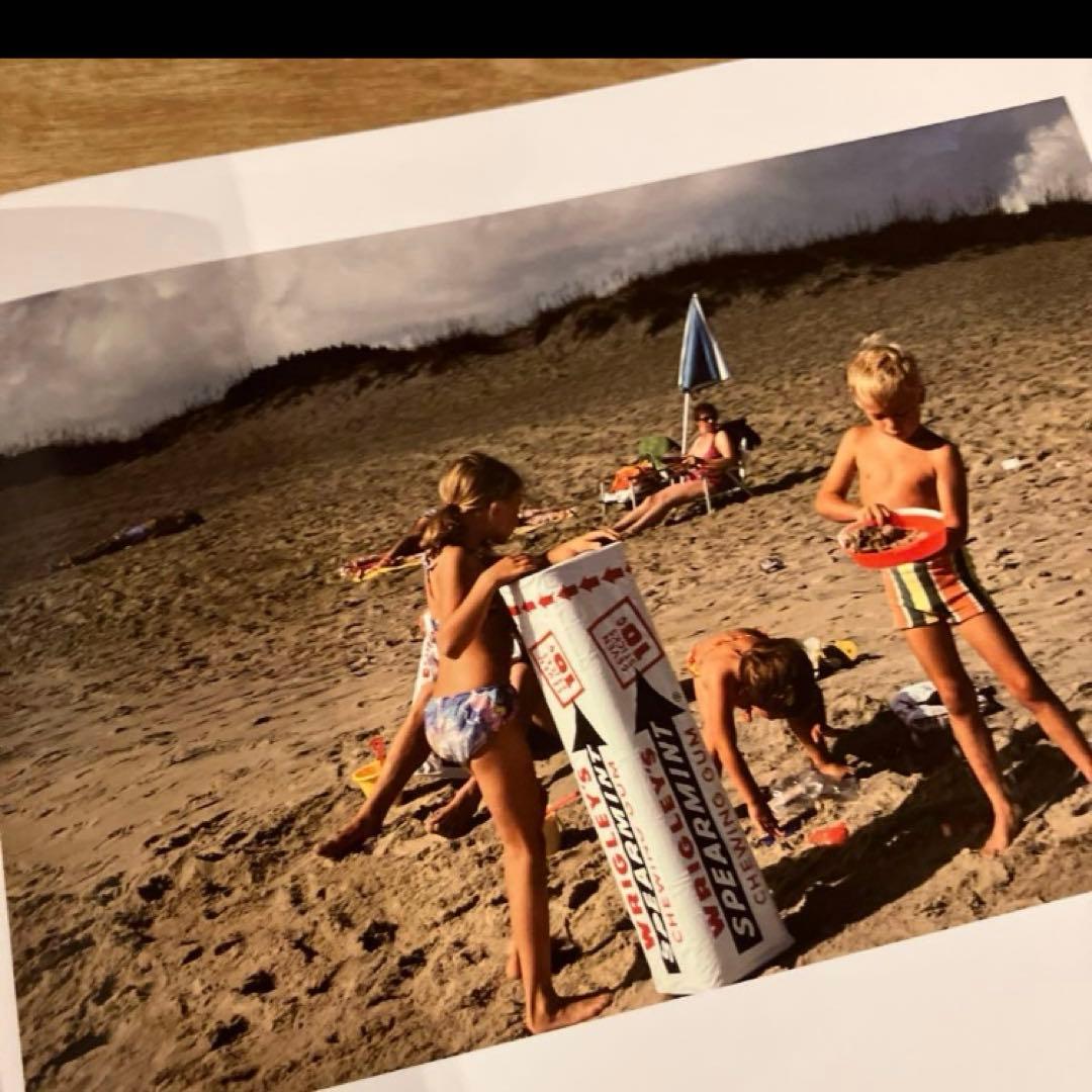 アート・デザイン・音楽 Joel Sternfeld: First Pictures