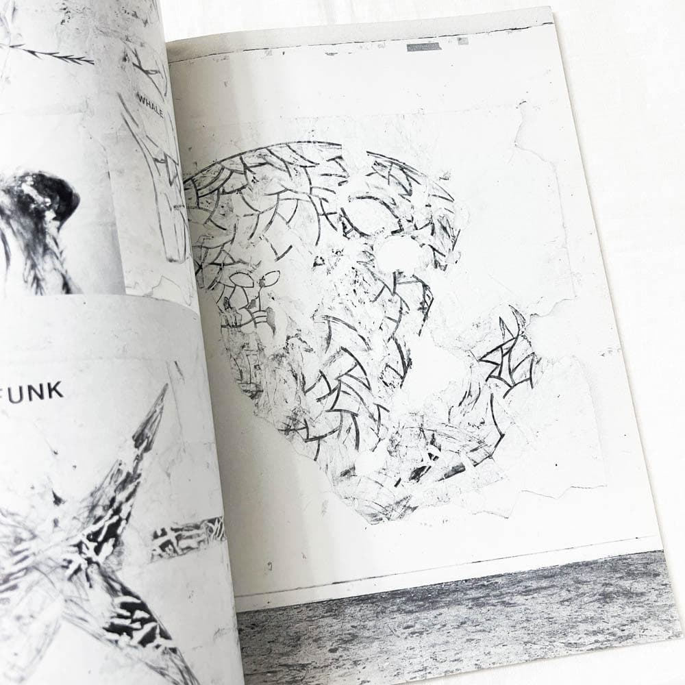 PIG Polynesian Instant Geography 作品集.