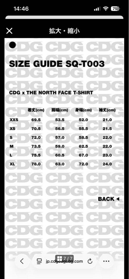 トップス The North Face COMME des GARCONS CDG Tee