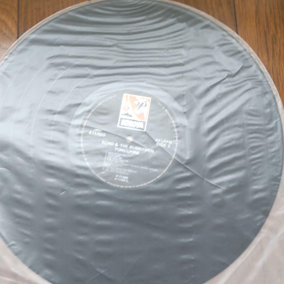 レコード ECHO & THE BUNNYMEN PORCUPINE