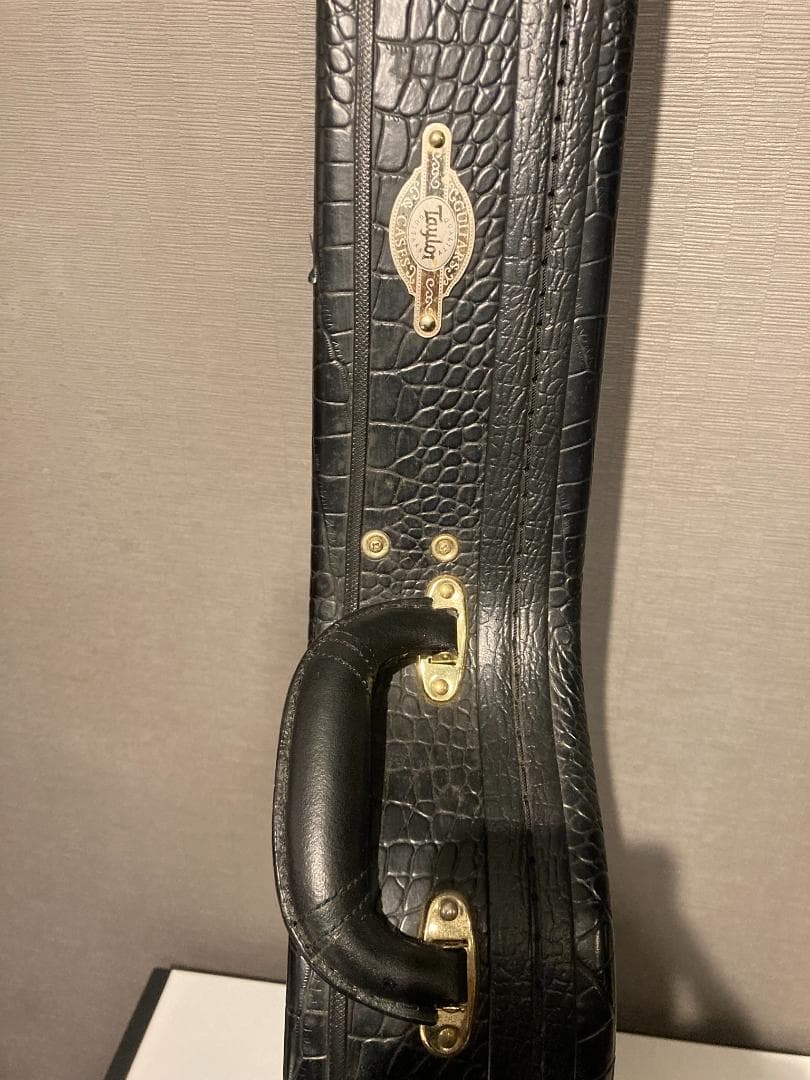 Taylor T5- C1 最初期型 2005.08.18製